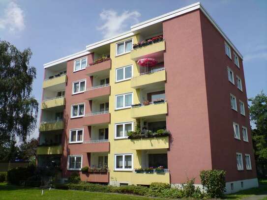 1 1/2 Zimmer Appartement in Do.-Asseln