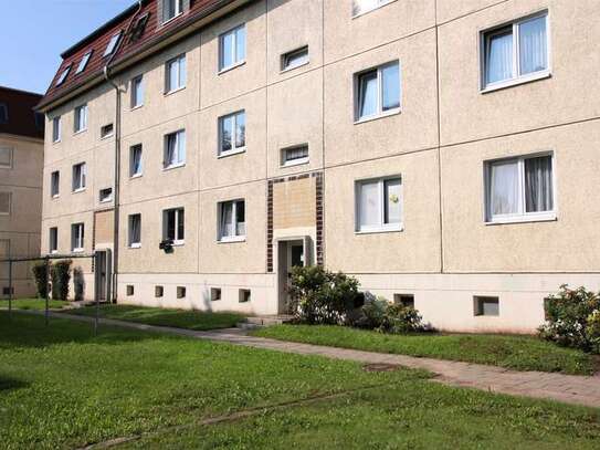 Große 2-Raum-Wohnung mit Loggia in der Innenstadt