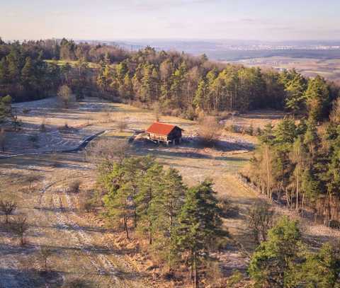 Grünfläche am Kälberberg