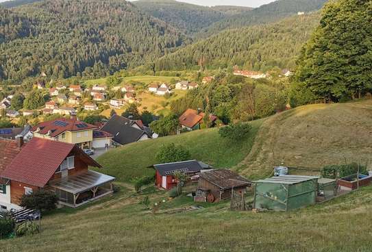 120qm Wohnung mit Garten und EBK in Bühlertal - 1400 € - 120 m² - 4.5 Zi.