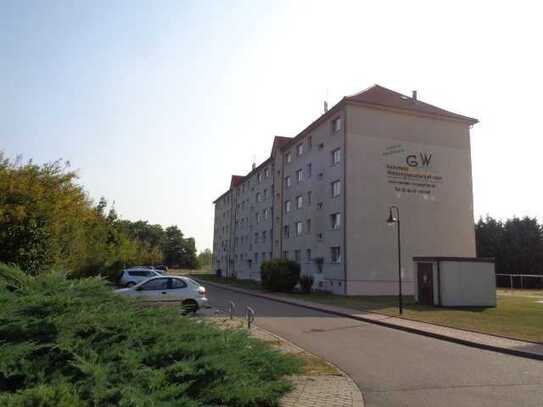 Moderne Erdgeschosswohnung im Geiseltal