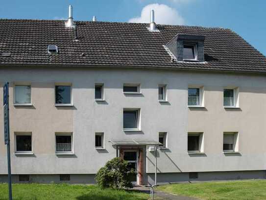 Gemütliche Single-Wohnung