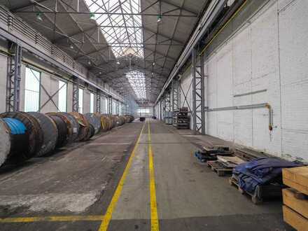 INDUSTRIEKOMPLEX - Lagerhalle/Produktionshalle mit Büroflächen im Biosphären Reservat Bliesgau