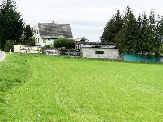 Rarität in uckermärkischer Landschaft bei Gerswalde (UM)