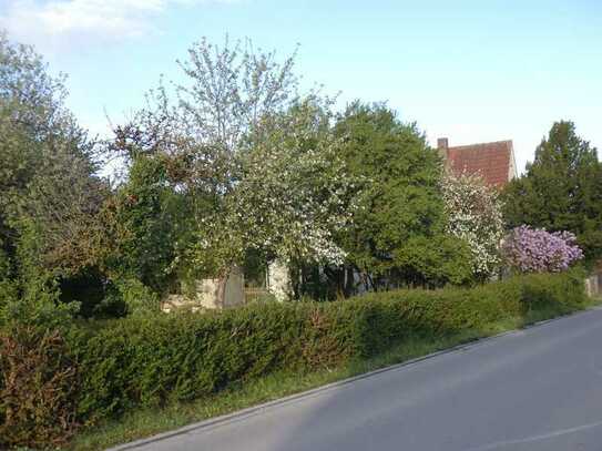 Großes Grundstück mit Altbau zum Abriss