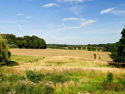 Raisdorf-Weinbergsiedlung: 5.000 m² Landwirtschaftsfläche mit eigener Zuwegung