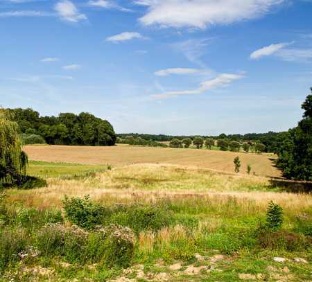 Raisdorf-Weinbergsiedlung: 5.000 m² Landwirtschaftsfläche mit eigener Zuwegung