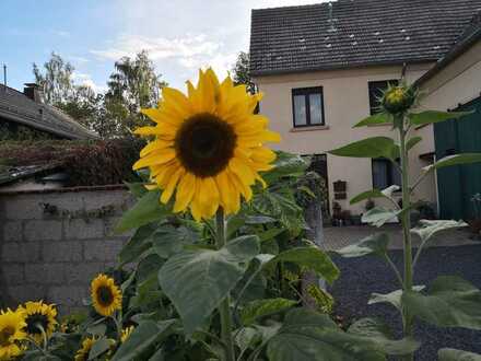 Schönes 4-Zimmer-Haus zur Miete in 53940, Nettersheim