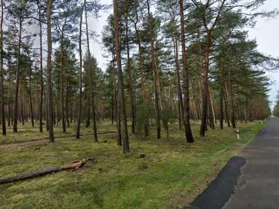 Waldflächen in Gemarkung Potzehne zu verkaufen