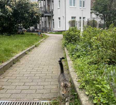 Ruhige 2-Zi.-Wohnung im Hinterhaus in der Reilstraße