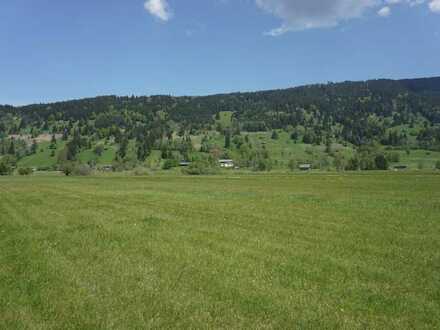 Was für eine Chance! Idyllisch gelegenes landwirtschaftliches Grundstück in Oberammergau