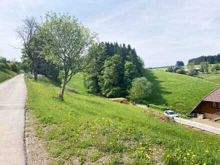 Tolle Baugrundstücke für Mikrohäuser in Gütenbach!