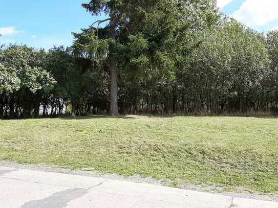 Wunderschönes Baugrundstück im Herzen von Damme(Uckermark) zu verkaufen