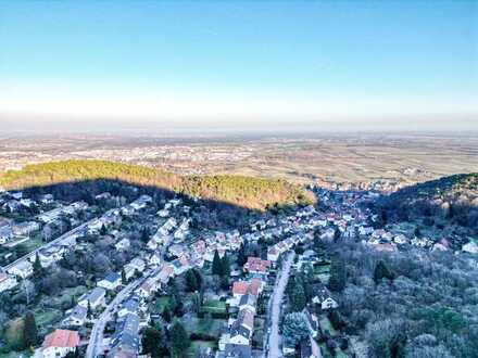Grundstück mit Haus in Hambach: Neubau oder Kernsanierung? Wir freuen uns auf Ihre Angebote!