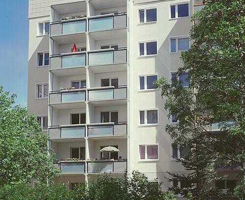 Gemütliche 3 Zimmerwohnung gleich beim Großen Garten
