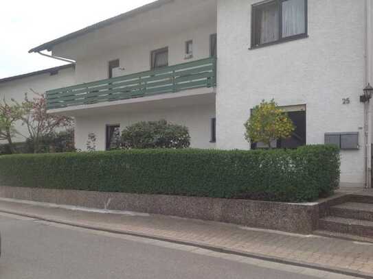 Renovierte 4-Zimmer-EG-Wohnung in Mümling-Grumbach