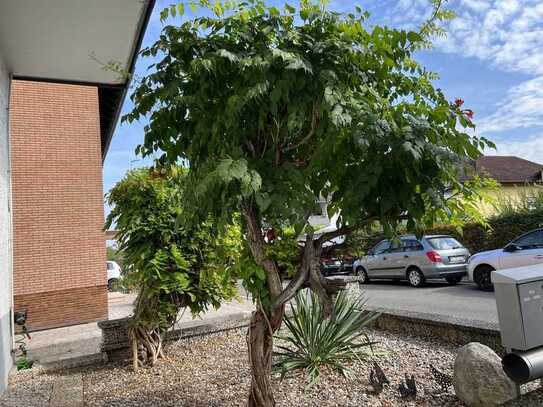 Das ideale freistehende Haus für die XXL-Family - Platz, Garten, Pool