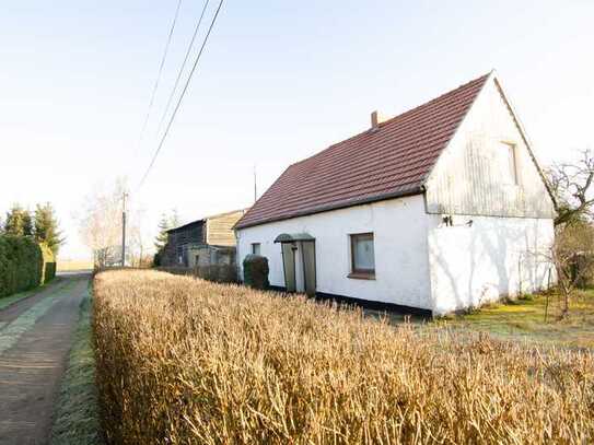 Natur pur - sanierungsbedürftiges EFH mit großem Grundstück und Nebengelass