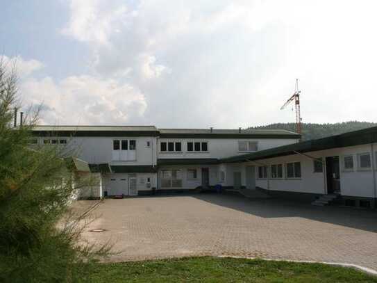 Gewerbe-/ Lagerhallehalle in Rangendingen