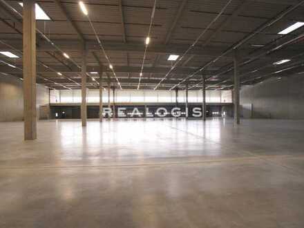 Ca. 4.900 qm Neubau Lager-/ Logisitk-/ Produktionsfläche | Rampe + ebenerdig | Ca. 7,00 m UKB