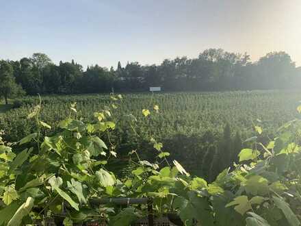 3 Zimmer Maisonette Wohnung in Lindau Aeschach mit Blick ins Grüne