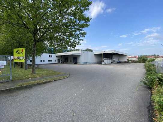 Moderne Halle (Kühlhalle) mit Büro in Freiburg-Hochdorf