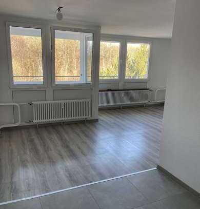 Helle renovierte 3,5Zi-Wohnung mit schönem Balkon-Waldblick