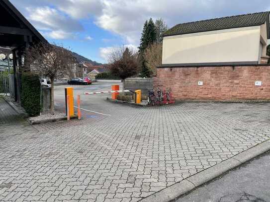 Stellplätze im Außenbereich in Ziegelhausen