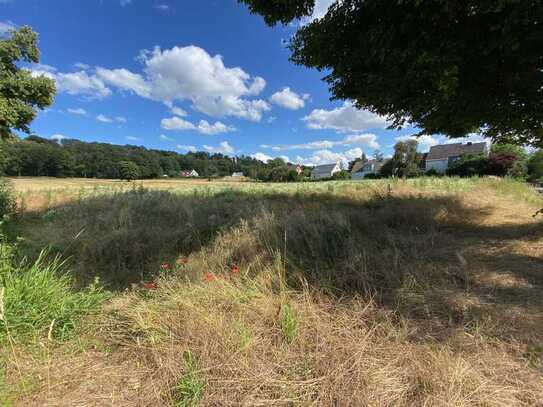 Wald nahes Baugrundstück anzubieten