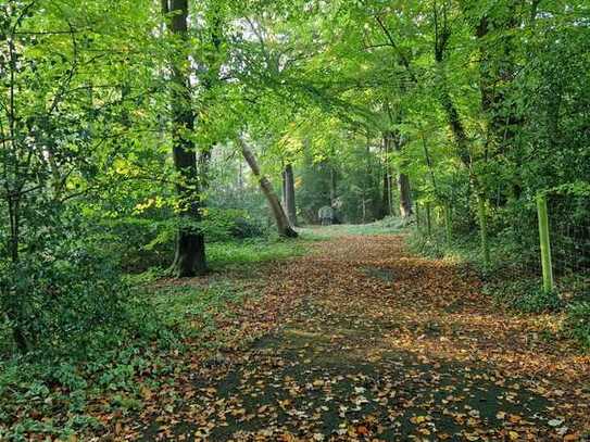 RARITÄT | Waldgrundstück mit 11.495 m² in Oldenburg