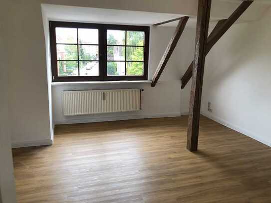 Sonnendurchflutete, modernisierte Single-DG-Wohnung mit gehobener Innenausstattung in Rostock