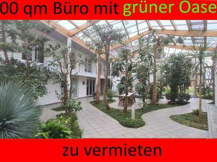 Büro mit grüner Oase