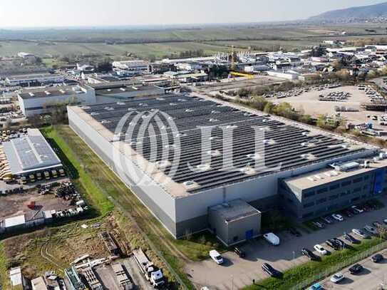 *Provisionsfrei Exklusiv im Auftrag* - 18.000 m² Logistikhalle in Bad Dürkheim *Rhein-Neckar*