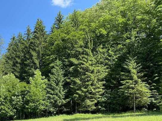 Waldgrundstück in Bischofswiesen - Silberg