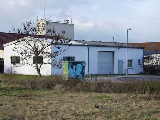 Halle / Werkstatt / Lager auf ca. 700 m² Grundstück - Guntersblum