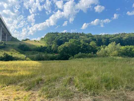 Grünland an der Lahn (Kein Bauland)