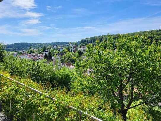 Traumhaus mit Weitblick