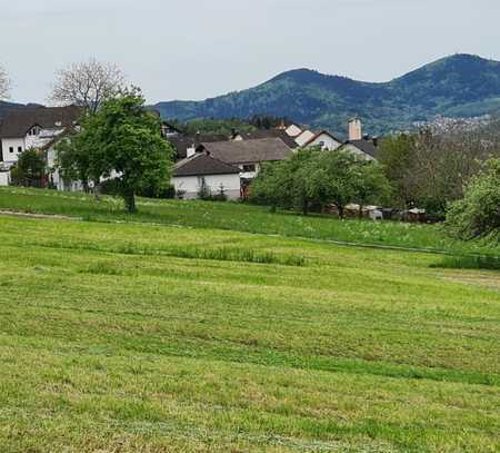 Ansprechende 4-Zimmer-Wohnung mit Garage und Garten in 76597, Loffenau