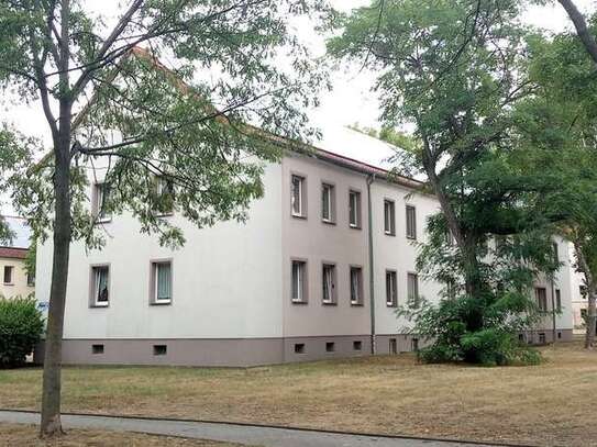 Neu renovierte 3 Raum-Wohnung am Südpark