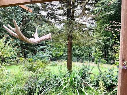 Mitten in der Natur! Gartengrundstück mit Bungalow 
im Nationalpark Sächsische Schweiz