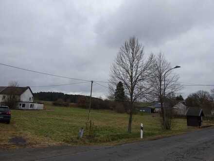 Baugrundstück mit altem Hof