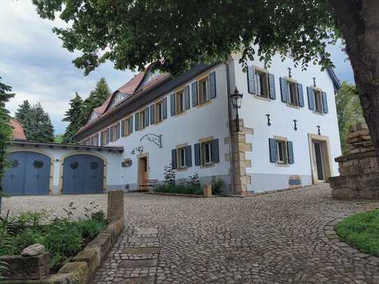 2,5-Zimmer-Maisonette-Wohnung mit EBK in Dresden Leubnitz