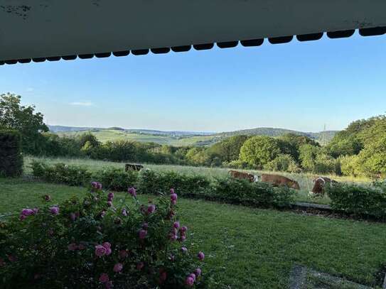 Sanierte Terrassenwohnung mit drei Zimmern sowie Balkon und EBK in Aichwald-Aichelberg