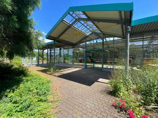 Gewerbeimmobilie in Top-Lage zu vermieten – 5.000 m² Grundstück!