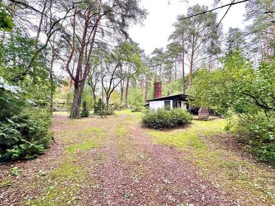 Wochenendbungalow in Alleinlage auf 6740 m² Waldgrundstück