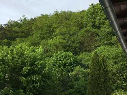 Waldblick