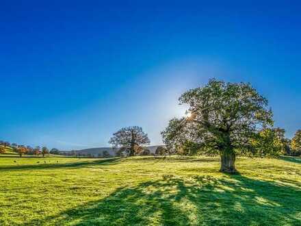 Wunderschönes Baugrundstück mit schönem Ausblick und guter Anbindung im Landschaftsschutzgebiet