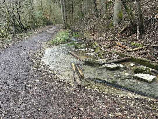 Hobby Wald – Brennholzlieferant – Ausgleichsfläche