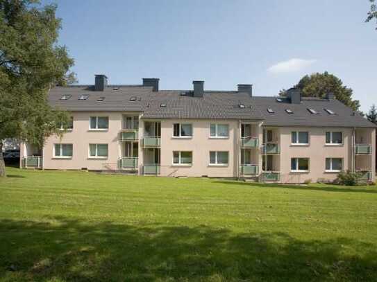 Monhofsfeld 40, DG