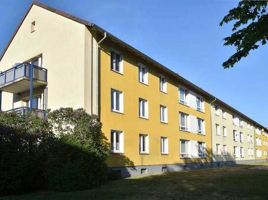 3-Zimmer-Wohnung // 2.OG links